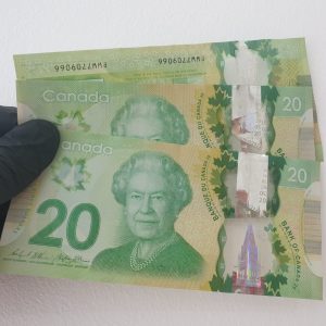 20 Canadian Dollar